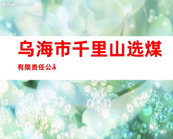 乌海市千里山选煤有限责任公司